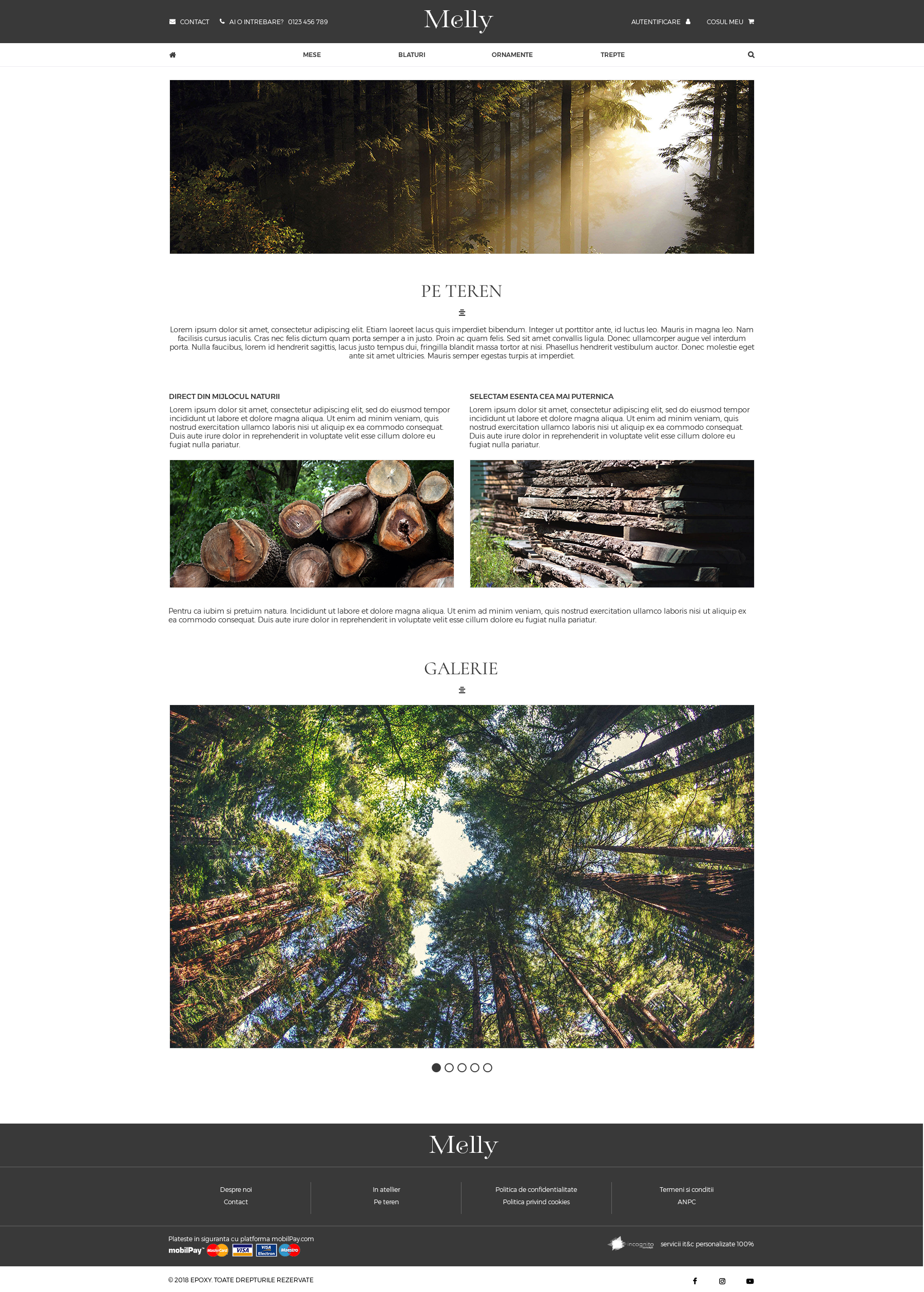 Melly Pe Teren Bootstrap3 1170px