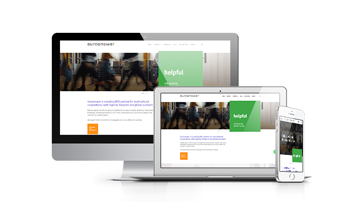 Euroanswer Portofoliu Template