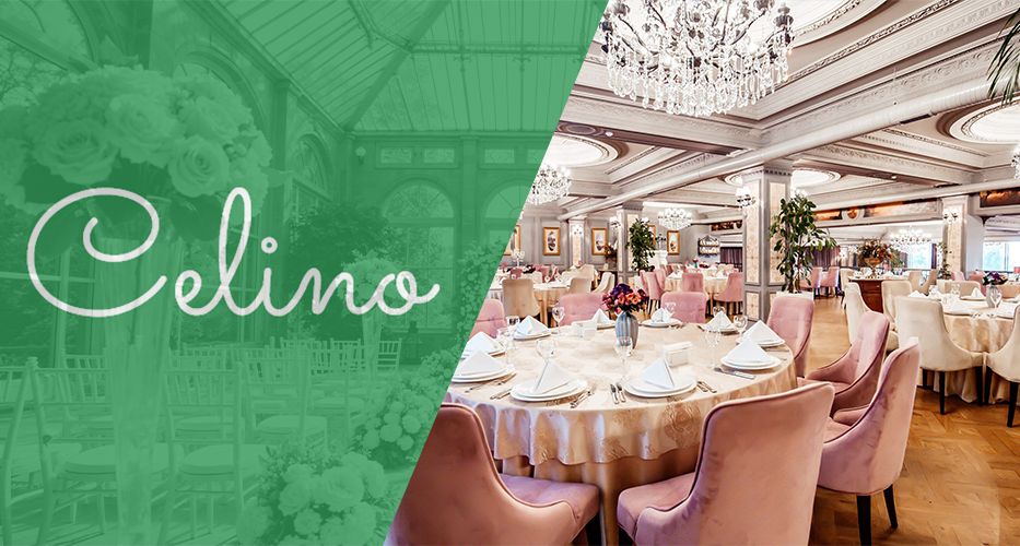 Celino_portofoliu_head_img