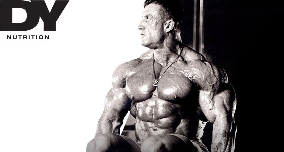 dynutrition_portofoliu_head_img