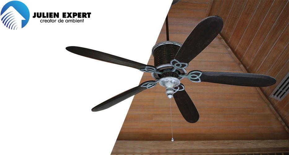 julien_expert_portofoliu_head_img julien_expert_portofoliu_head_img