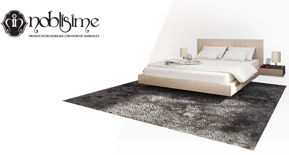 noblisime_portofoliu_head_img