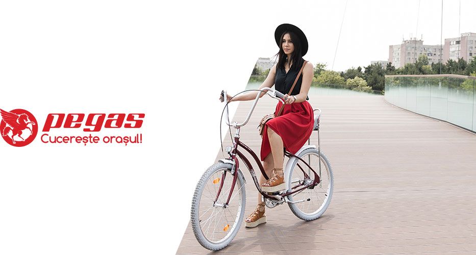 pegas_portofoliu_head_img Pegas - bicicletapegas.ro