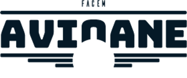 Facem Avioane