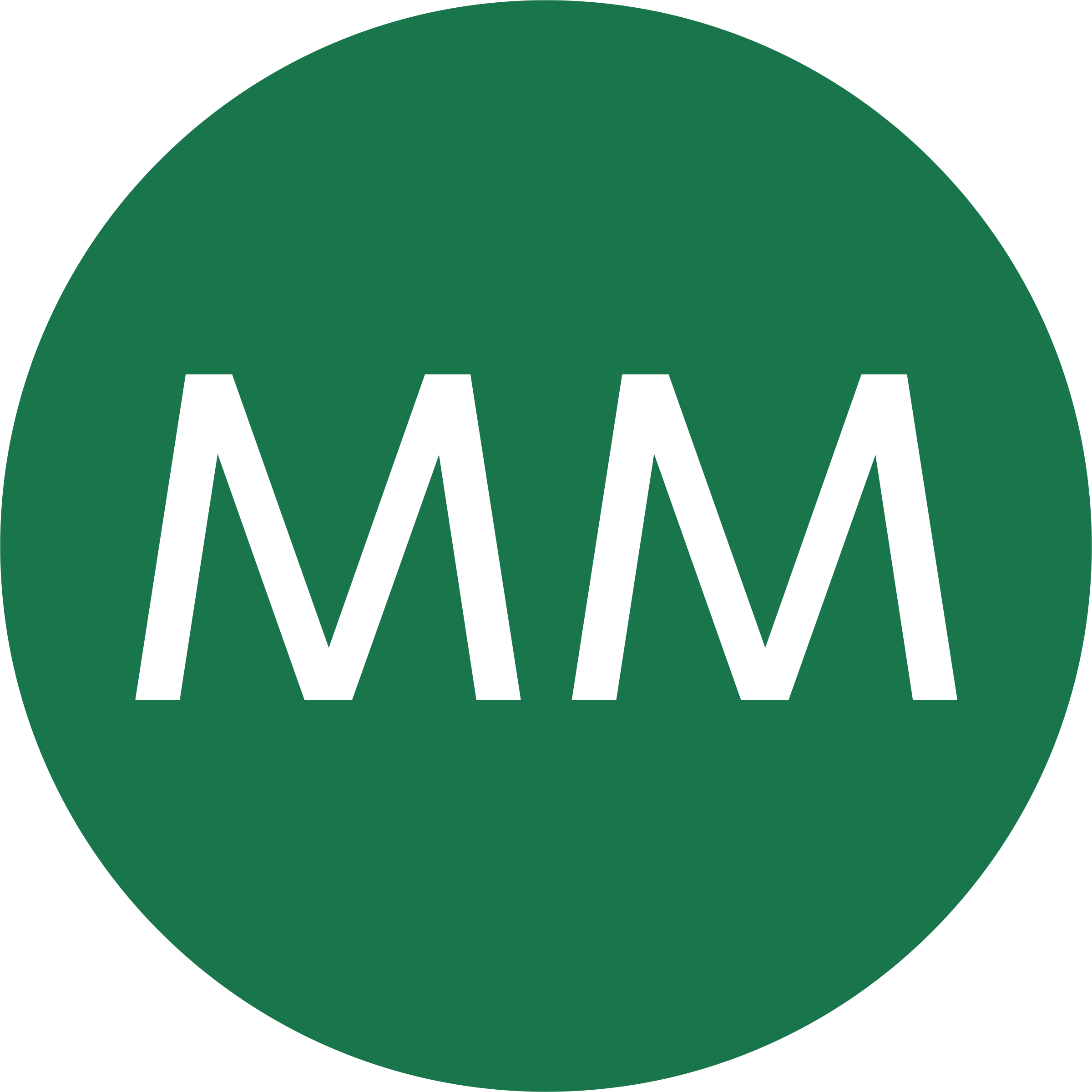MM Board&Paper MM Board&Paper