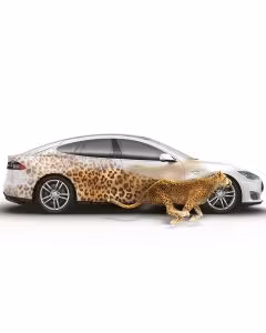 Folie Adezivă Mată Transparentă RI-JET M80