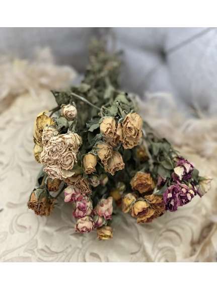 Buchet Trandafiri Miniroze Uscati Cod 16