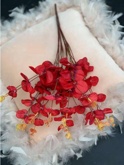 BUCHET EUCALIPT ROSU