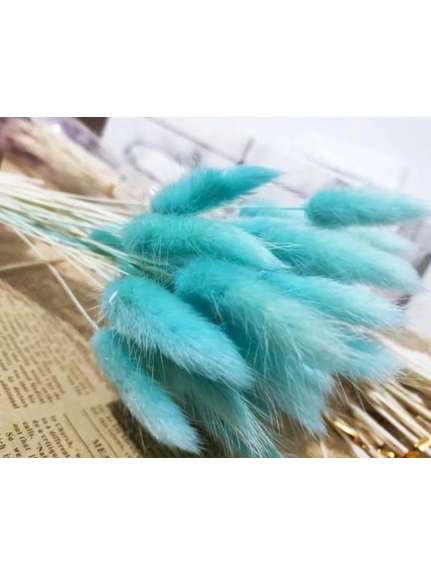 Buchet Lagurus Uscat Blue Turcoaz