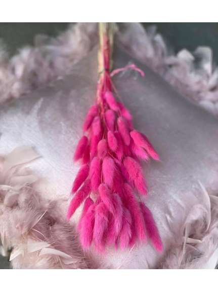 Buchet Lagurus Uscat Carmin