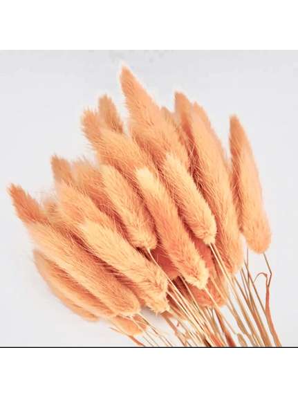 Buchet Lagurus Uscat Portocaliu (Orange)