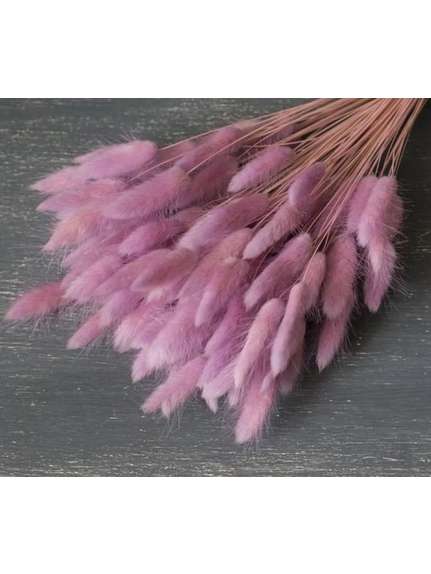 Buchet Lagurus Uscat Purple