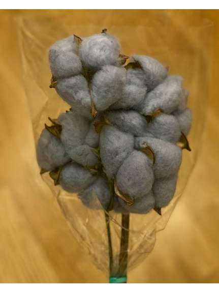 Buchet 10 Fire Bumbac Gri