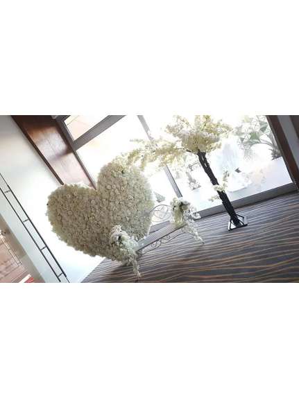 Copac cires alb cu trunchi natural  H 2.5 m