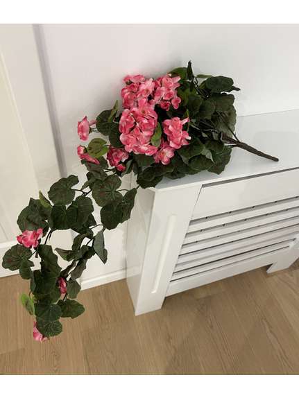 MUSCATA CURGATOARE -BEGONIA-ROZ  80CM