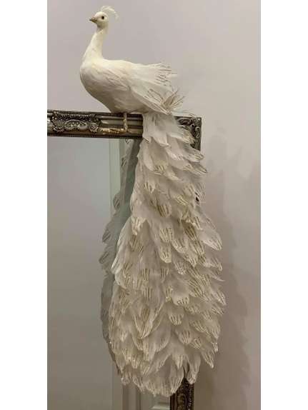 Păuniță Albă Decorativă Cod 4022