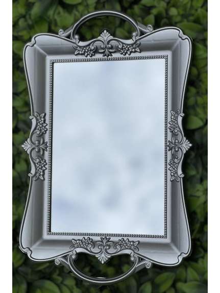 Tavă Elegantă 1002 – Silver